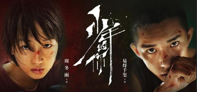 学信网学历证书电子注册备案表